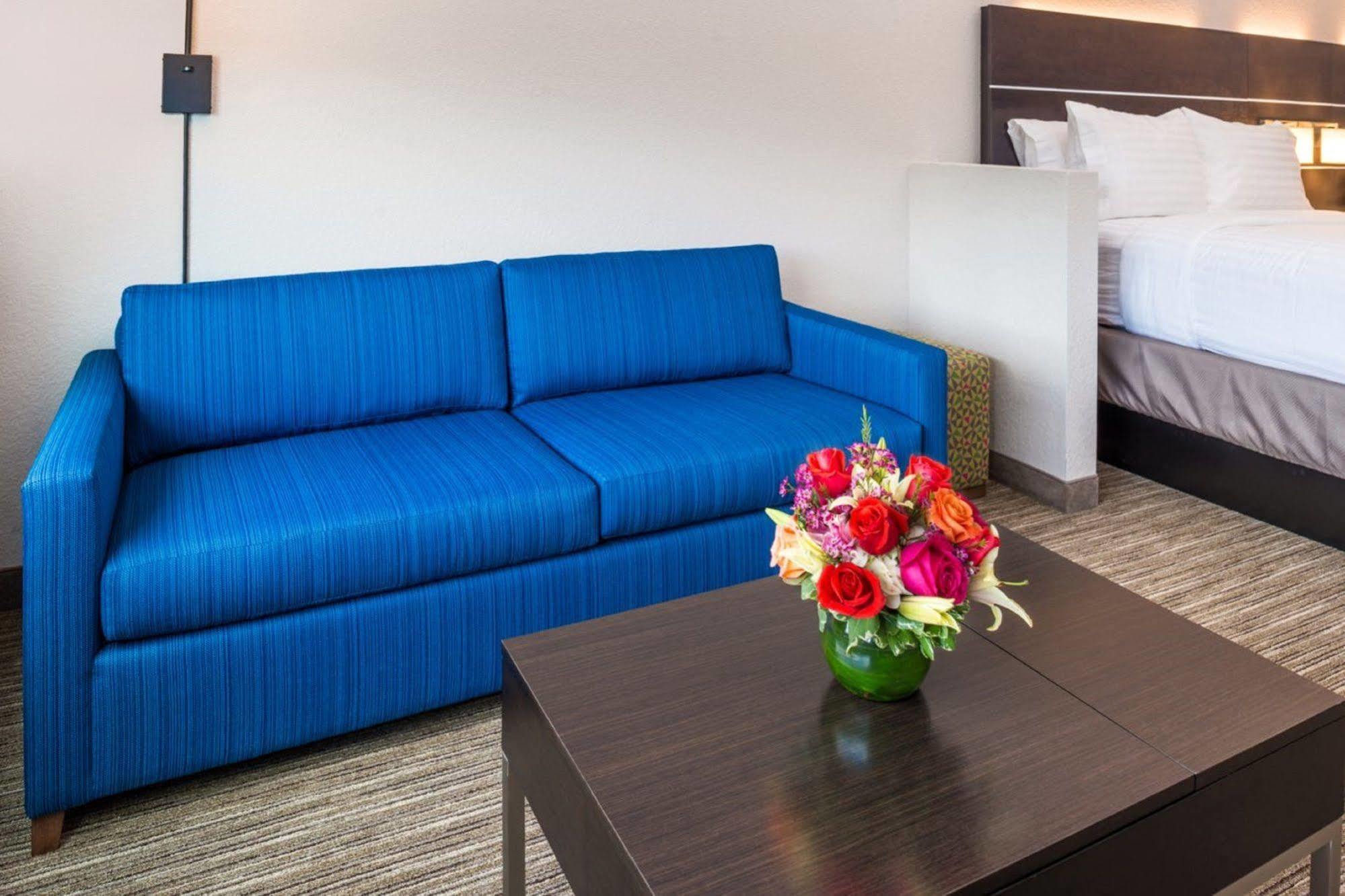 Holiday Inn Express & Suites - Tampa North - Wesley Chapel By Ihg Exterior photo